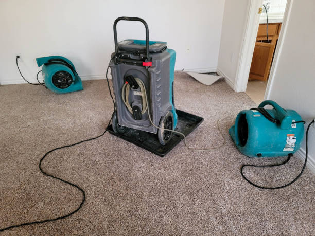 Sewage cleanup and water damage restoration in Lyndon, KY