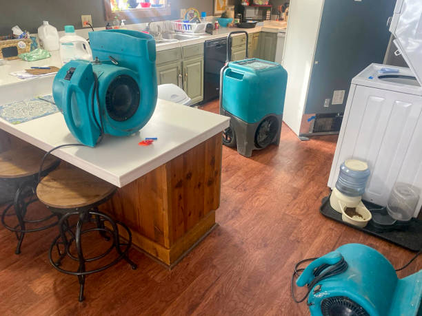 Best Flood damage cleanup  in Lyndon, KY