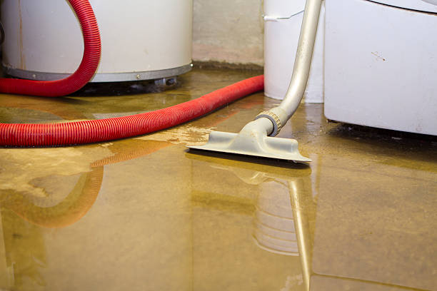 Best Flood restoration services  in Lyndon, KY