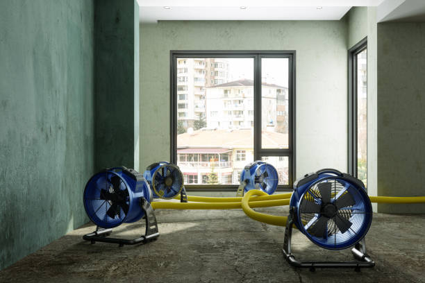 Best Professional water damage repair  in Lyndon, KY