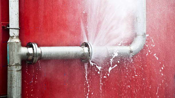 Best Water damage contractors near me  in Lyndon, KY